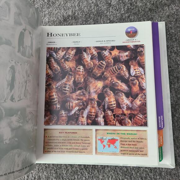 WILDLIFE EXPLORER Set 2 Binders w/Fact Cards Animal Birds Science Home School - Picture 5 of 15